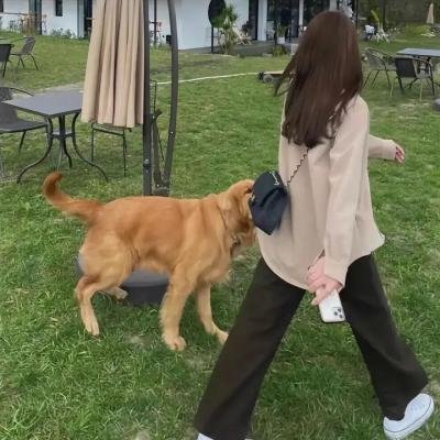 命中注定我爱你
